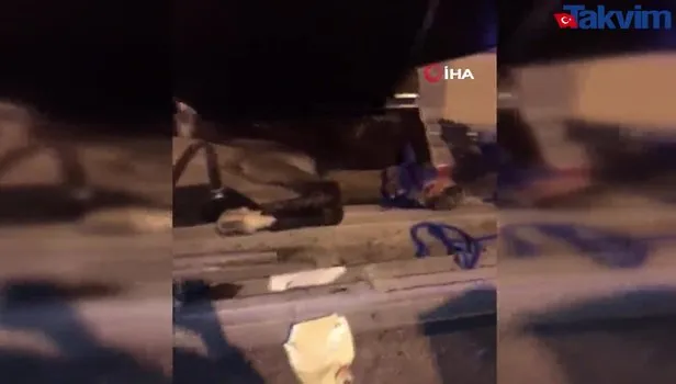 Kayseri'de yarış atı taşıyan kamyon devrildi: 2 ölü, 1 yaralı