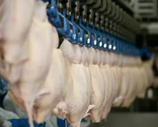 Bosna’da Türk pilici