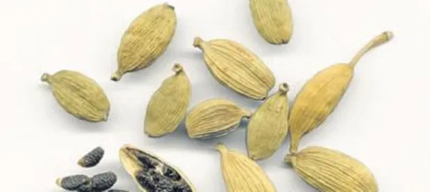 Erkeklere kakule Kanserle mücadele