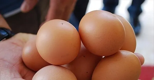 Yumurta ye zayıfla!