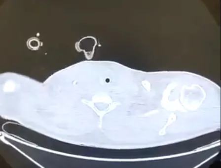 Koronavirüs işte böyle yayılıyor! Bunu daha önce hiç görmediniz!-2