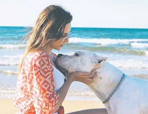 Moraller ’Boz’uldu