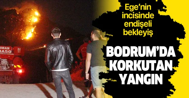 Bodrum'da makilik alanda korkutan yangın