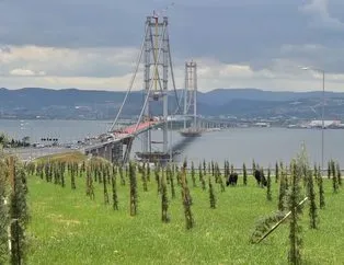 Gebze- Orhangazi otoyolu trafiğe açılıyor