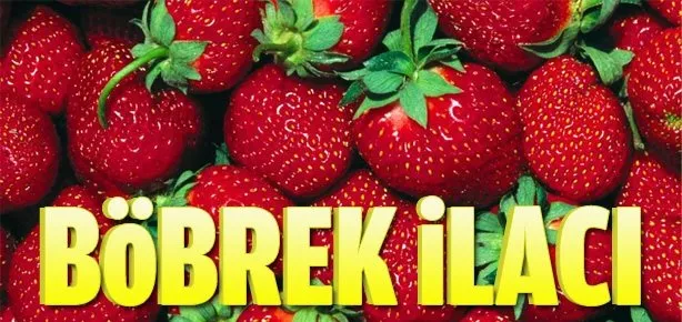 Böbreğin ilacı çilek