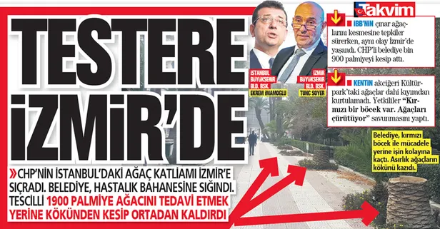 CHP'li belediyelerin doğa katliamı devam ediyor! İstanbul'daki skandalın ardından İzmir'de de 900 palmiyeyi kesip attı.