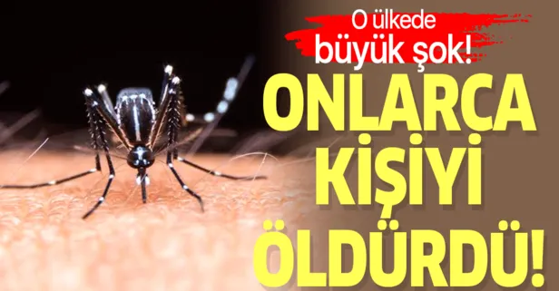 Ülke şokta! 74 can aldı