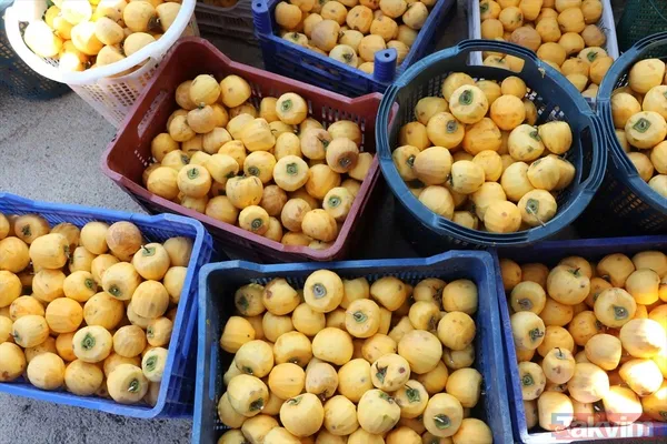 Cennet hurmasında yaş olanın fiyatı 6 kuru olanın fiyatı 50 TL! Almanlar kuru Ruslar yaş tercih ediyor - 22