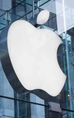 Google Apple'ı satın aldı ama...