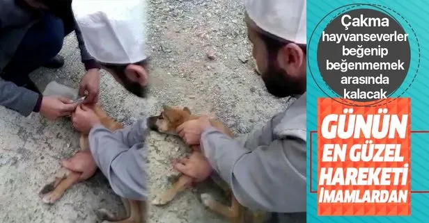 Adana’da kafasına bidon sıkışmış köpeği yoldan geçen imamlar kurtardı