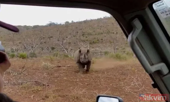 Sadece fotoğraf çektirmek istedi genç kız hayatının şokunu yaşadı! Bir anda üzerine atladı ne var yok... - 15
