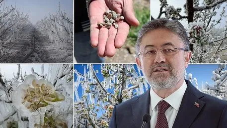 Tarım sigortası olana anında ödeme!