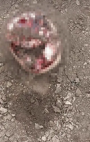 İran sınırında korkunç olay! Parçalanmış ceset bulundu!