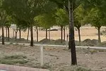 TUSAŞ’tan açıklama | Konya’da İHA’dan kontrollü iniş!