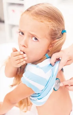 Kefir-zencefil doğal antibiyotik