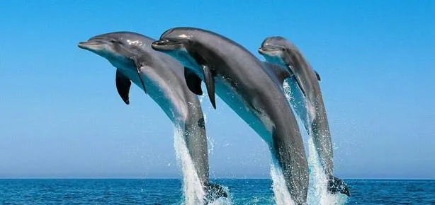 Sevdiklerini isimle çağırıyorlar