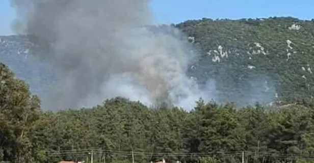 Muğla Marmaris'te orman yangını: Hem havadan hem karadan müdahale!