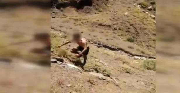 1 terörist teslim oldu