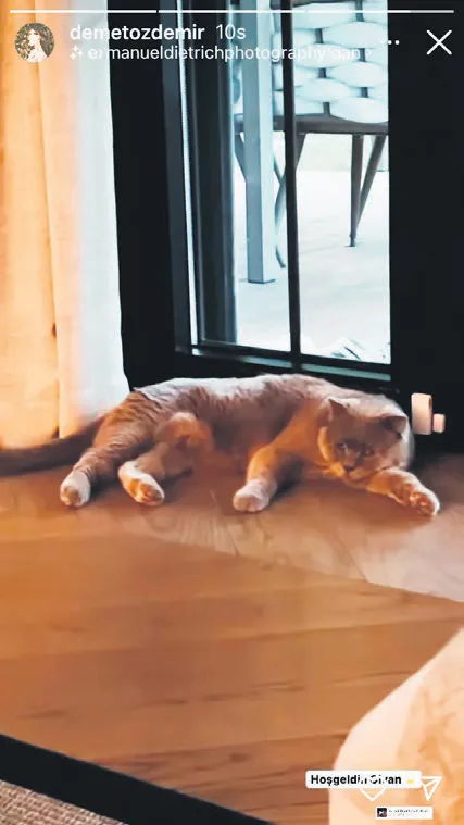 oguzhan-koctan-anneler-gununde-demet-ozdemire-sasirtan-hediye-kedisi-civan-adina-1652123115991.jpg