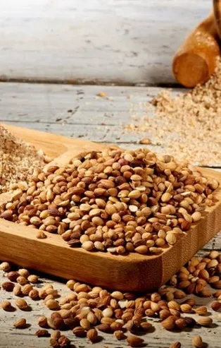 Mahlep nedir? Mahlebin faydaları nelerdir?