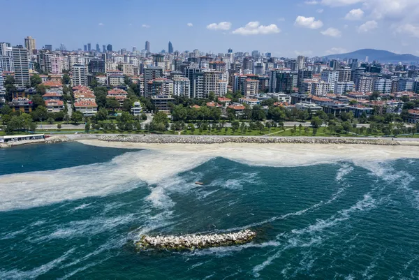 son-dakika-cevre-ve-sehircilik-bakani-murat-kurum-marmara-denizinden-7-bin-932-metrekup-musilaji-temizledik-1624867677345.jpg SON DAKİKA: Çevre ve Şehircilik Bakanı Murat Kurum: Marmara Denizi'nden 7 bin 932 metreküp müsilajı temizledik-5