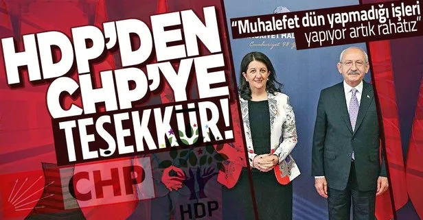 HDP’li Musa Piroğlu CHP ve HDP arasındaki kirli ittifakı böyle afişe etti! Dün yapılmayan işler yapılıyor, o yüzden rahatız