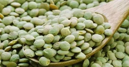 Mercimek Haberleri Son Dakika Mercimek Gelismeleri