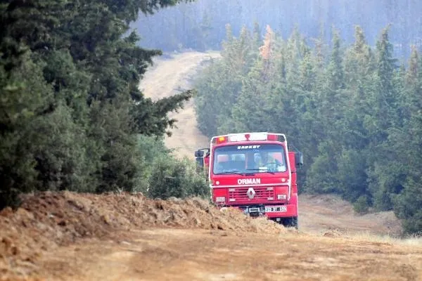 Mersin, Hatay, Çanakkale, Tekirdağ, Adana, Balıkesir, Diyarbakır'da orman yangını! Yangında son durum ne?-14