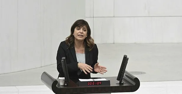 HDP'li isimden Meclis'te skandal sözler! Meral Danış Beştaş TBMM'de bebek katili Abdullah Öcalan'a övgüler yağdırdı