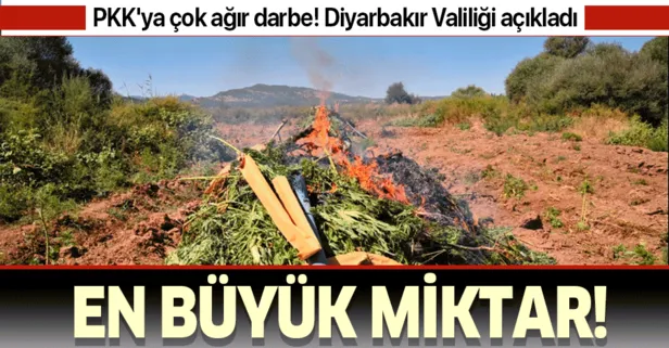 Son dakika: Diyarbakır’ın Lice ve Hazro ilçesinde PKK’ya ağır darbe!