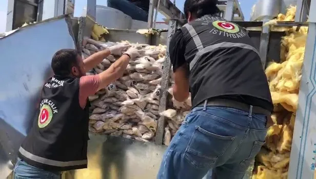 Son dakika: İstanbul'da zehir tacirlerine büyük darbe! 2 ton 91 kg ağırlığında, 12,3 milyon adet uyuşturucu hap ele geçirildi-2