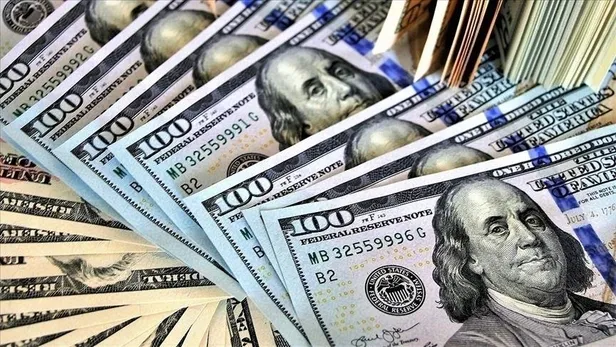 Kısa vadede tarihin en yüksek döviz fazlası: 100 milyar dolarlık açık pozisyon kapandı-4