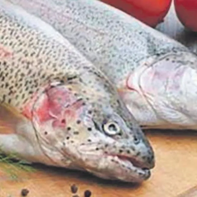 Kalplere dokunan reçete