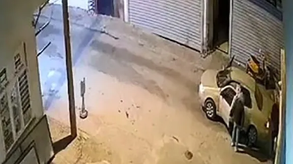 Muğla’da vahşet: Oklu kirpiyi ezip metrelerce sürükledi