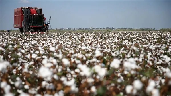 ureticiye-prim-morali-yeni-hedef-1-milyon-ton-1603182753569.jpg Üreticiye prim morali! Yeni hedef 1 milyon ton-3