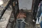 Antalya'da korkunç patron işkencesi! Kerpetenle dişlerini söküp böcek yedirdiler! Darp raporu almasın diye...