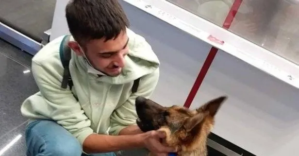 Kayseri’de şiddete maruz kalan kurt köpeği İtalya’da yeni sahibine kavuştu