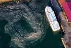 Kınalıada'da müsilaj istilası! Marmara Deniz dört bir yandan tehlikede