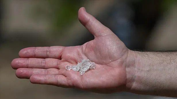 bu-agactan-resmen-altin-damliyor-kilosu-3-gram-altin-fiyatina-gidiyor-1695730038957.jpg Bu ağaçtan oluk oluk akıyor! Kilosu 3 gram altın fiyatına gidiyor-3