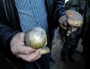 Ordu’da mantar zehirlemesi!