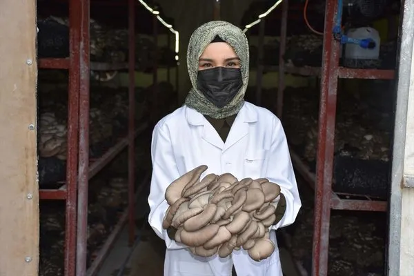 yilda 30 ton mantar yetistiriyor bu is