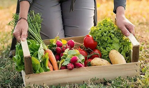 ureticiye-3-buyuk-destek-gundemde-elektrik-faturalari-hasattan-sonra-odeniyor-iste-tum-detaylar-1652841637432.jpeg Üreticiye 3 büyük destek gündemde! Elektrik faturaları hasattan sonra ödeniyor... İşte tüm detaylar-4