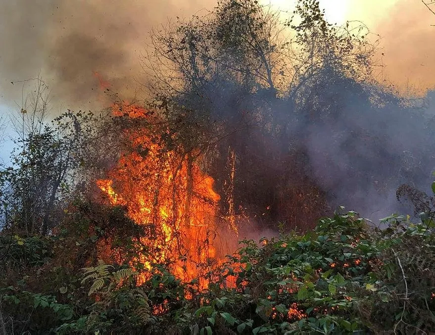 İki bölgede orman yangını!