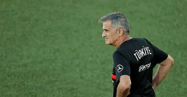 Şenol Güneş'in Hollanda ve Norveç maçı stratejisi belli oldu: 2 maçta 4 puan bize çok şey katar
