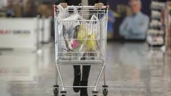 Bakanlıktan yeni plastik poşet genelgesi! Artık yasak-9