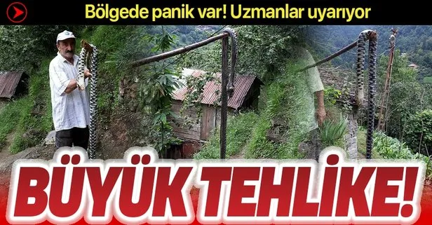 takvim gazetesi