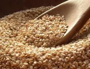 Karaciğere susam gücü