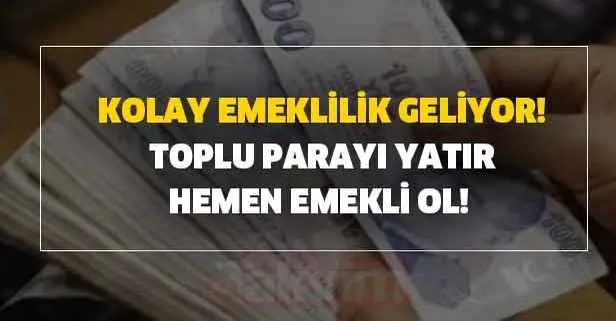 Kolay emeklilik geliyor! Toplu parayı yatır hemen emekli ol!