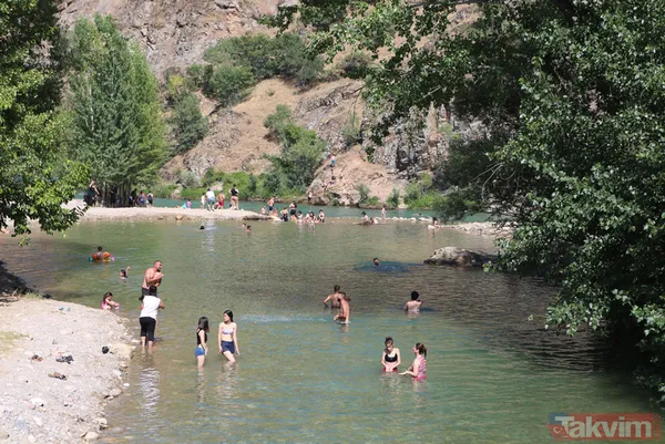 Tunceli'de 40 derece sıcaktan bunalanlar Munzur ve Pülümür çaylarında serinledi - 6