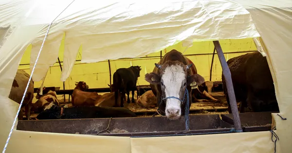 diyanet acikladi 2019 kurban bayrami